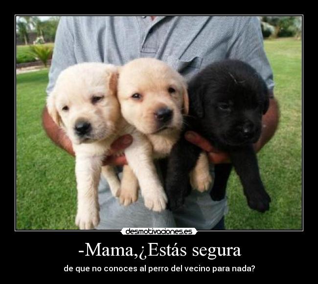 -Mama,¿Estás segura - de que no conoces al perro del vecino para nada?