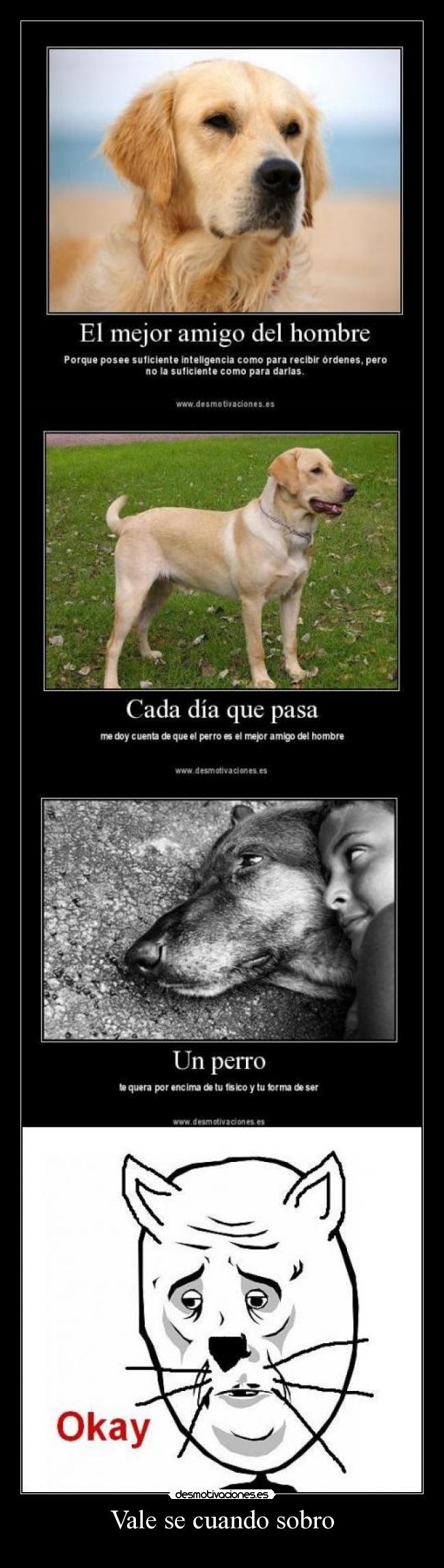 Vale se cuando sobro -