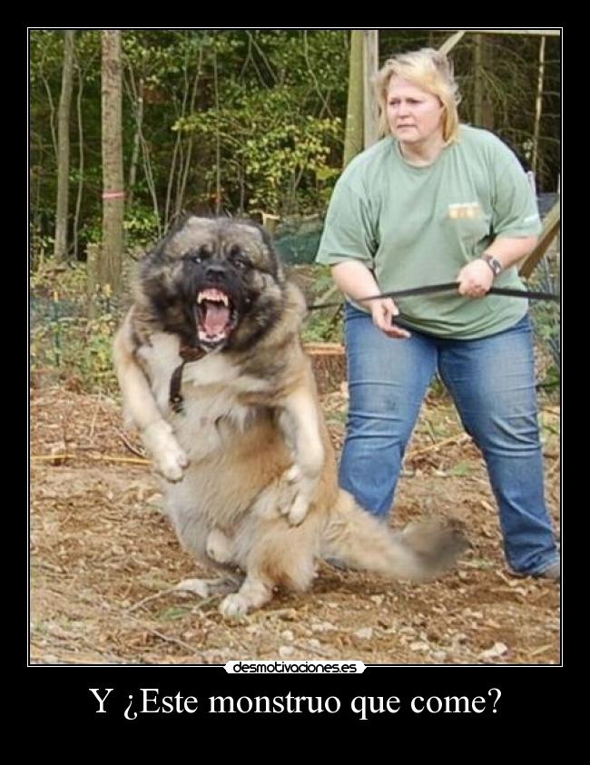 Y ¿Este monstruo que come? -