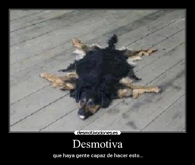 carteles 1234 desmotivaciones