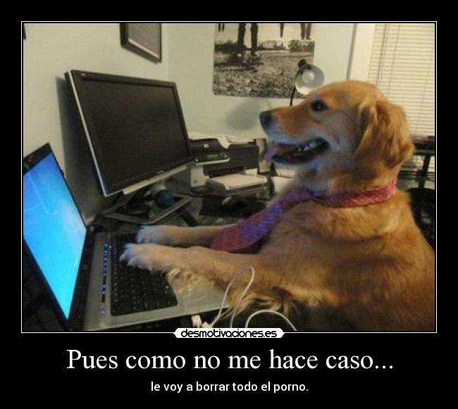 Pues como no me hace caso... - 