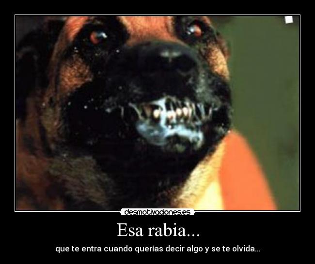 Esa rabia... - 