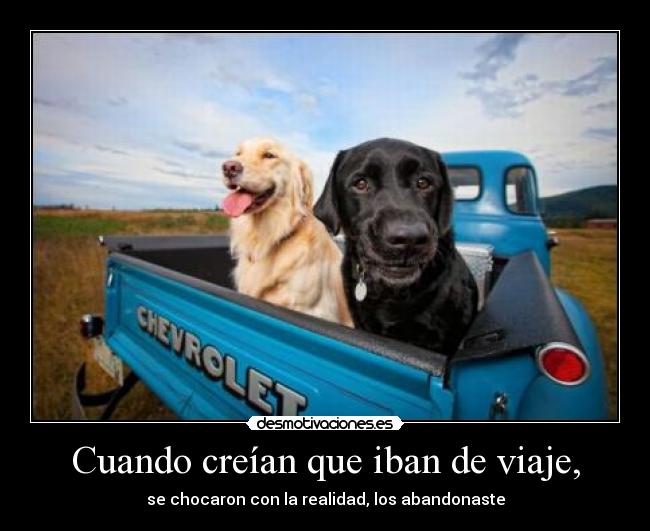 carteles salido ver foto asi que penita dos puntos resubido desmotivaciones