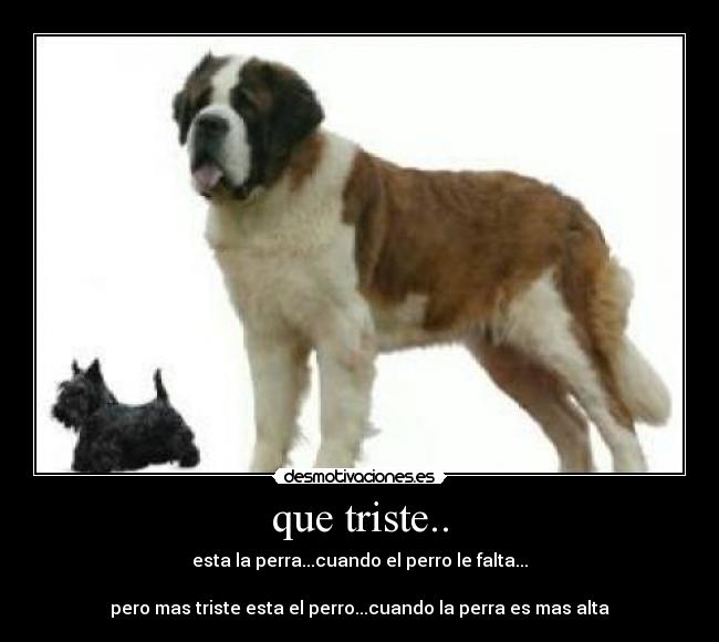 que triste.. - 