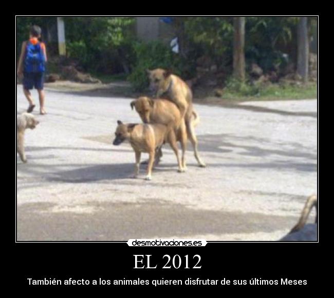 EL 2012 -