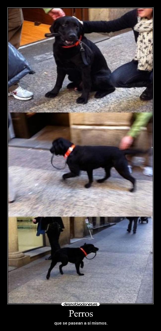 carteles clanhoygan hipsalami nomiresaqui cartelesbuenosaqui bollicao clanfuego kkk desmotivaciones