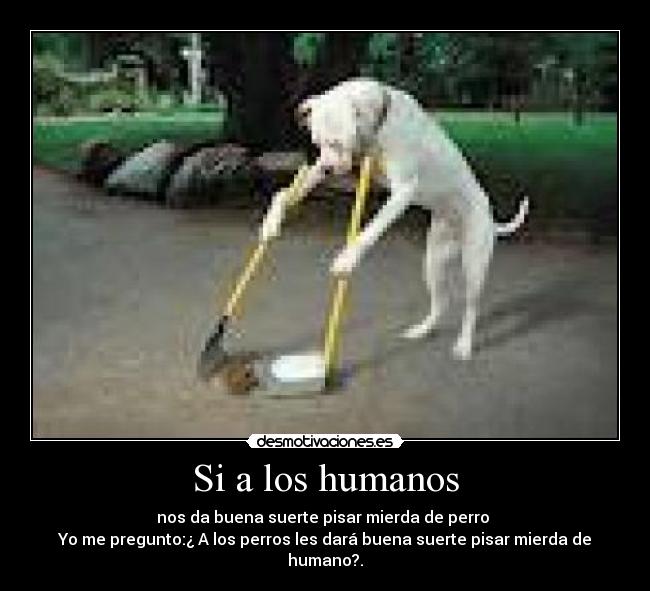 Si a los humanos - 