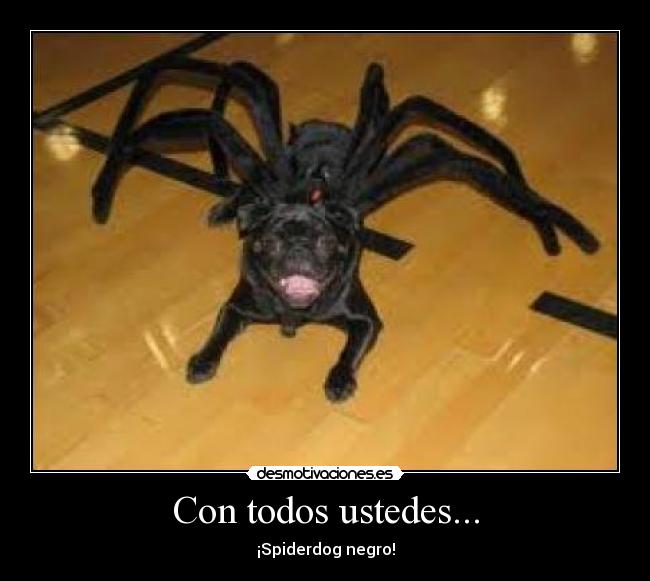 Con todos ustedes... -