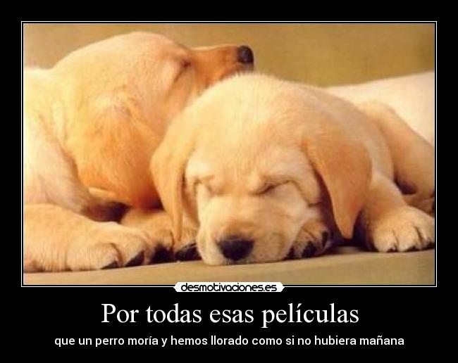 carteles sabes que sabes epictime desmotivaciones