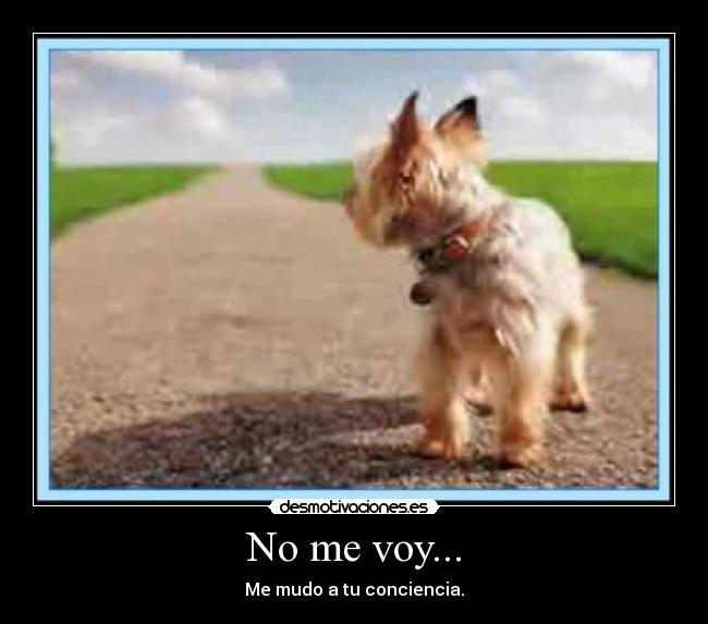 No me voy... - Me mudo a tu conciencia.