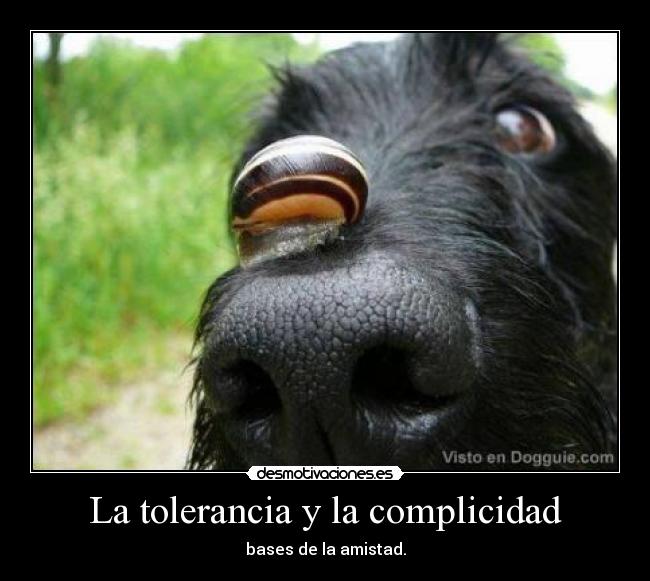 La tolerancia y la complicidad -