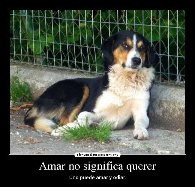 Amar no significa querer - Uno puede amar y odiar.