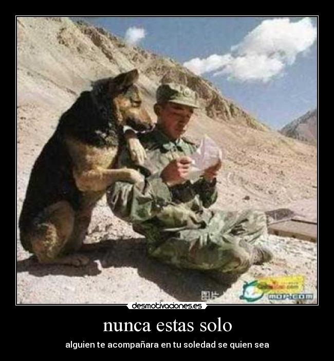 carteles como perrp desmotivaciones