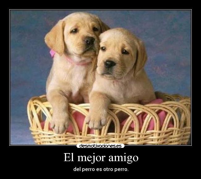 El mejor amigo - 