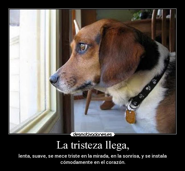La tristeza llega, -