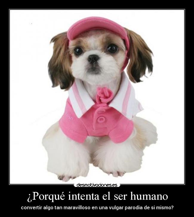 ¿Porqué intenta el ser humano - convertir algo tan maravilloso en una vulgar parodia de si mismo?