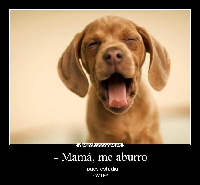 - Mamá, me aburro - + pues estudia
- WTF?