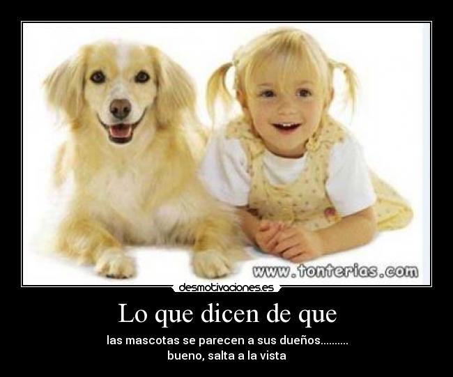 Lo que dicen de que - las mascotas se parecen a sus dueños..........
bueno, salta a la vista