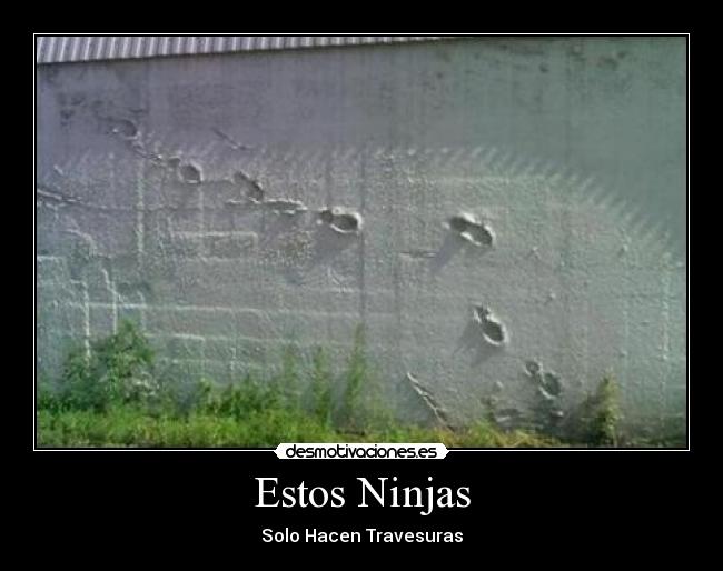 Estos Ninjas - 