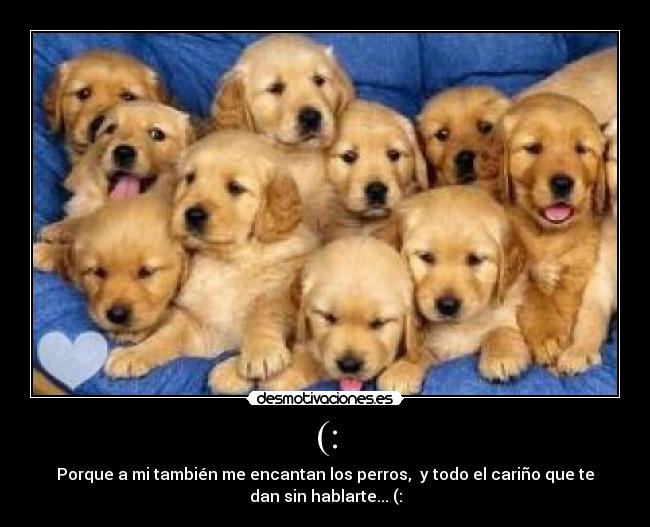 (: - Porque a mi también me encantan los perros,  y todo el cariño que te
dan sin hablarte... (:
