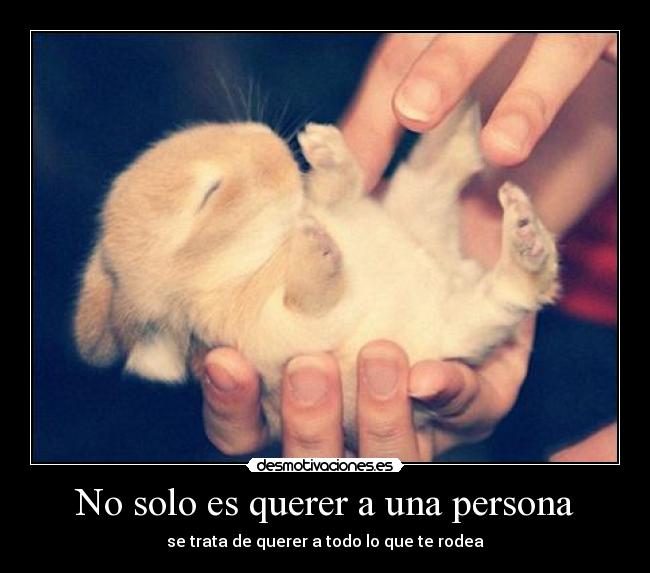 No solo es querer a una persona - se trata de querer a todo lo que te rodea