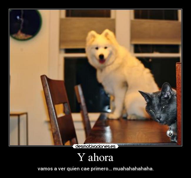 Y ahora - vamos a ver quien cae primero... muahahahahaha.
