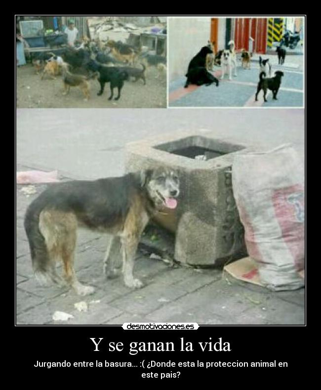 Y se ganan la vida -