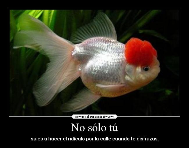 No sólo tú - sales a hacer el ridículo por la calle cuando te disfrazas.