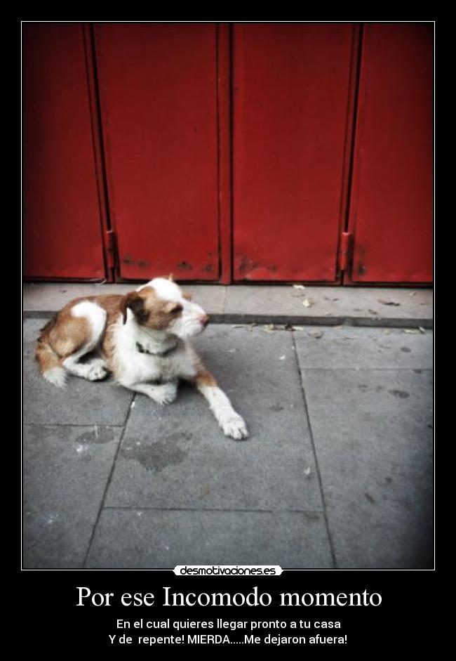 Por ese Incomodo momento - En el cual quieres llegar pronto a tu casa
Y de repente! MIERDA.....Me dejaron afuera!