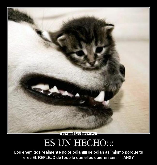 ES UN HECHO::: - Los enemigos realmente no te odian!!!! se odian asi mismo porque tu
eres EL REFLEJO de todo lo que ellos quieren ser........ANGY
