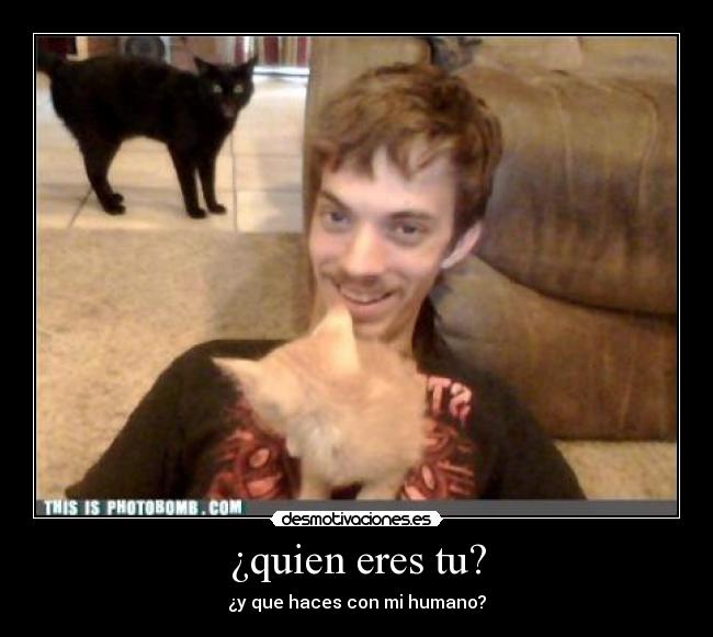 ¿quien eres tu? - 