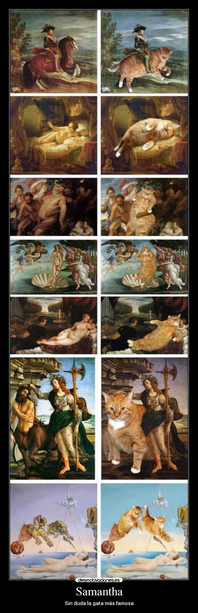 Samantha - Sin duda la gata más famosa
