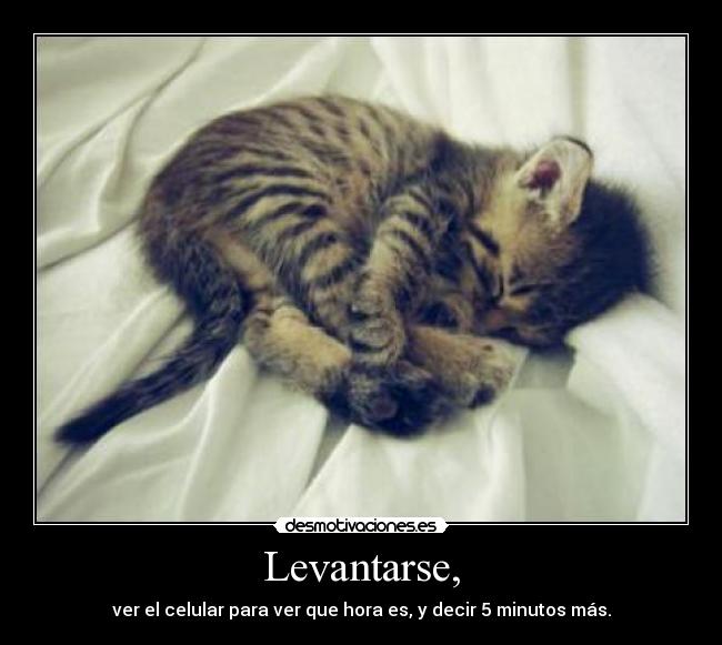 Levantarse, -