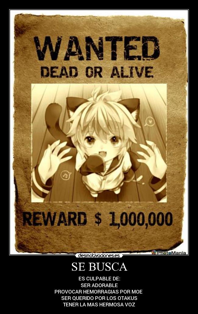 SE BUSCA - ES CULPABLE DE:
SER ADORABLE
PROVOCAR HEMORRAGIAS POR MOE 
SER QUERIDO POR LOS OTAKUS
TENER LA MAS HERMOSA VOZ