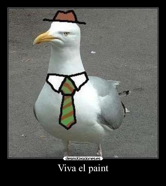 Viva el paint -