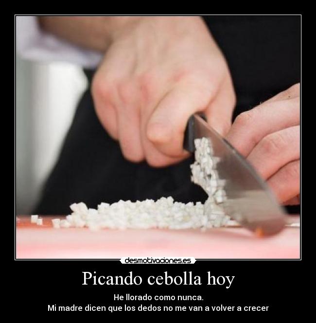 Picando cebolla hoy - He llorado como nunca.
Mi madre dicen que los dedos no me van a volver a crecer