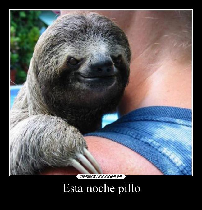 Esta noche pillo -