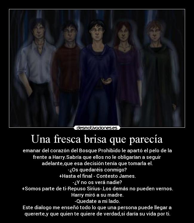 Una fresca brisa que parecía - emanar del corazón del Bosque Prohibido le apartó el pelo de la
frente a Harry.Sabría que ellos no le obligarían a seguir
adelante,que esa decisión tenía que tomarla el.
-¿Os quedaréis conmigo?
+Hasta el final - Contesto James.
-¿Y no os verá nadie?
+Somos parte de ti-Repuso Sirius-.Los demás no pueden vernos.
Harry miró a su madre.
-Quedate a mi lado.
Este dialogo me enseñó todo lo que una persona puede llegar a
quererte,y que quien te quiere de verdad,si daría su vida por ti.
