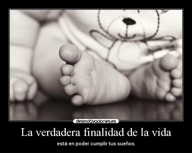 La verdadera finalidad de la vida - está en poder cumplir tus sueños.