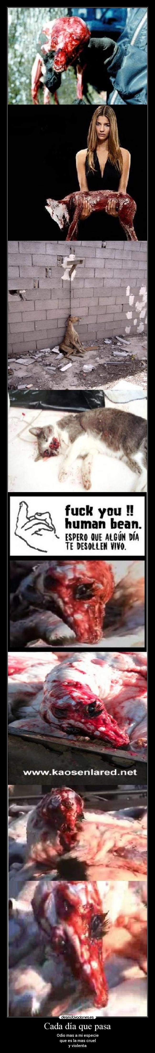 Cada día que pasa -