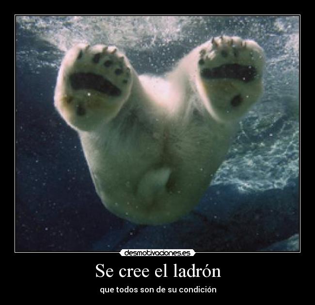 carteles ver alguien pilla desmotivaciones