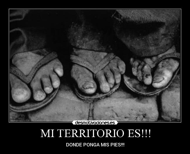 MI TERRITORIO ES!!! - DONDE PONGA MIS PIES!!!