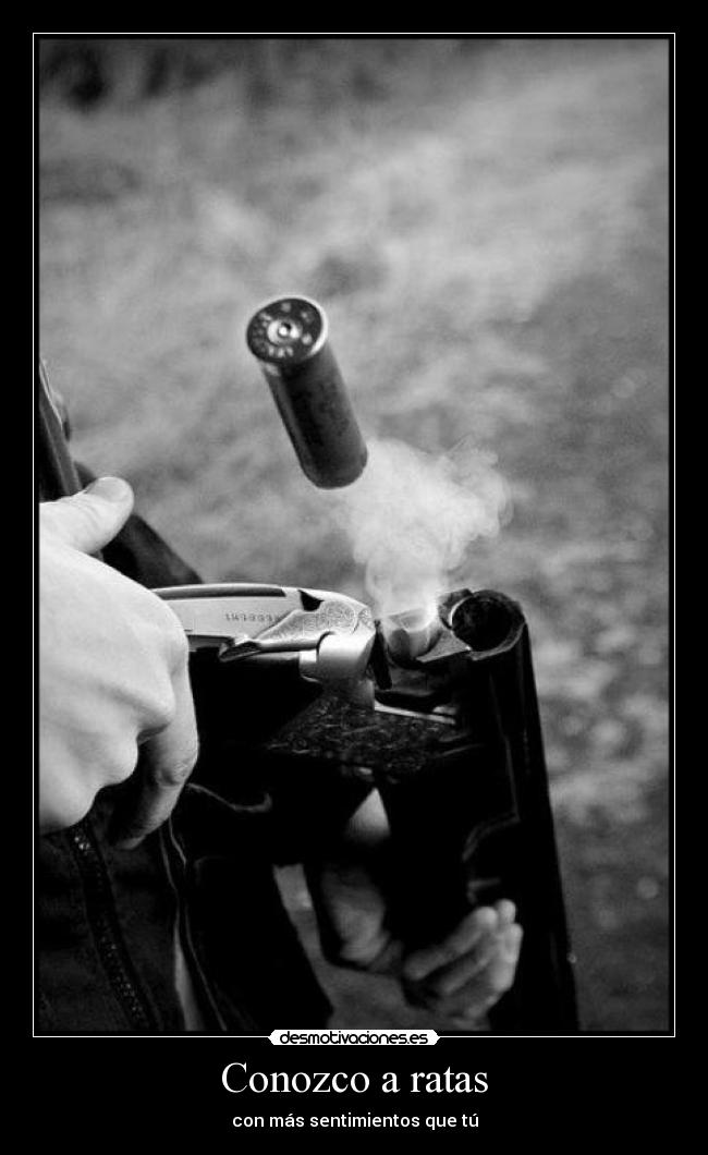 Conozco a ratas - con más sentimientos que tú