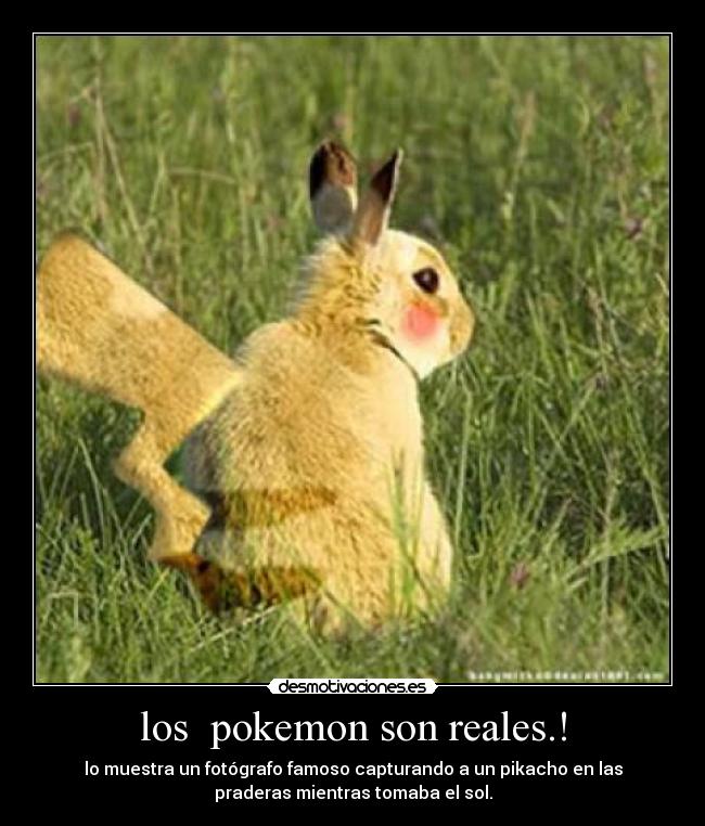 los pokemon son reales.! -