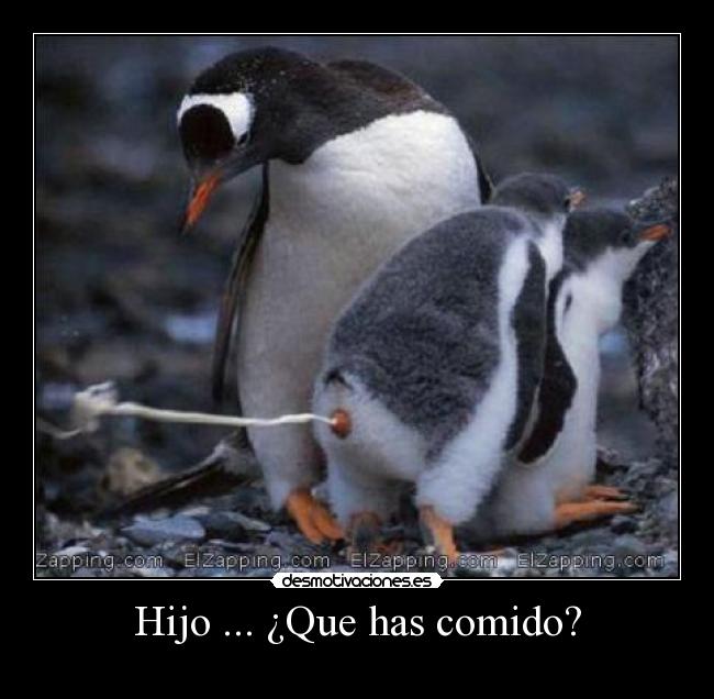 Hijo ... ¿Que has comido? -