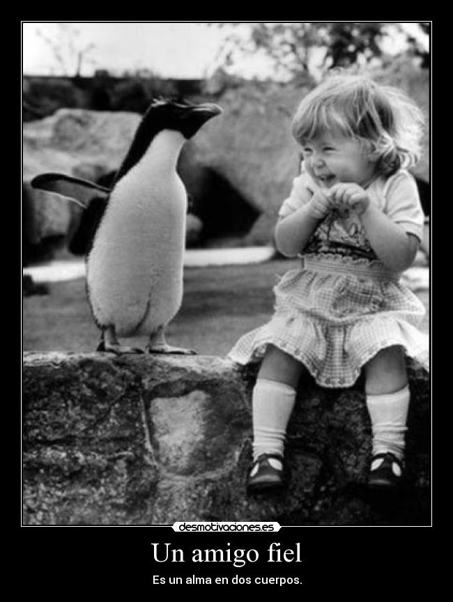 Un amigo fiel - 
