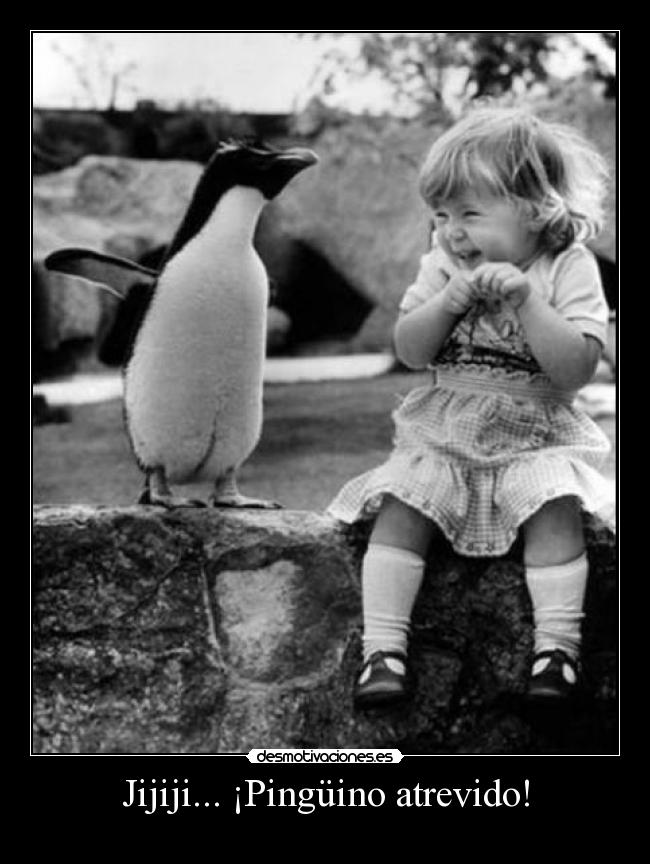 Jijiji... ¡Pingüino atrevido! -