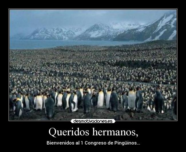 Queridos hermanos, - 