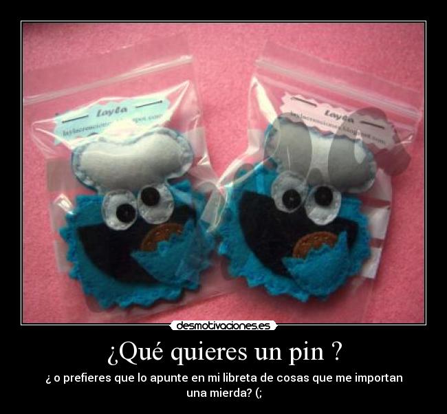 ¿Qué quieres un pin ? - ¿ o prefieres que lo apunte en mi libreta de cosas que me importan una mierda? (;