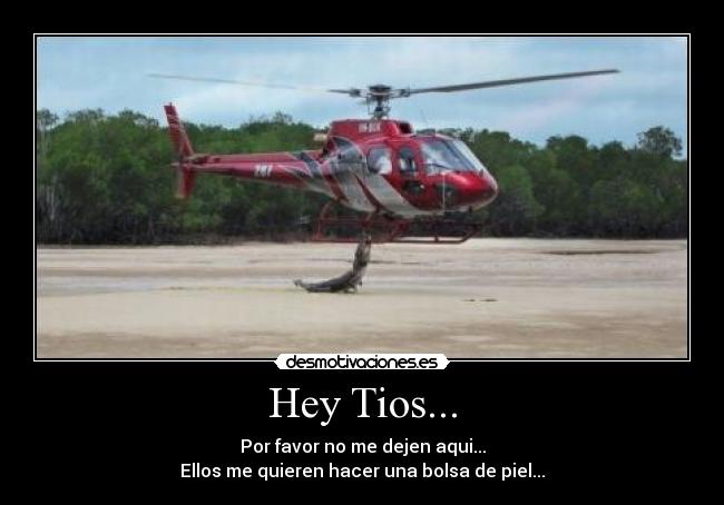 carteles cocodrilos desmotivaciones